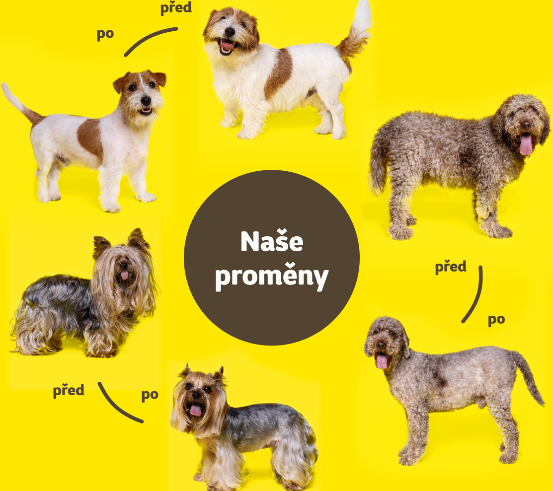 Naše proměny